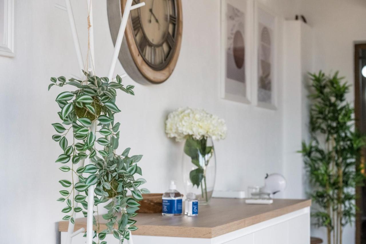 Moderno Apartamento Recien Reformado En Santa Cruz 01 외부 사진